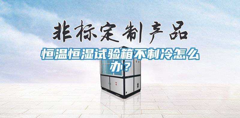 恒溫恒濕試驗箱不制冷怎么辦？