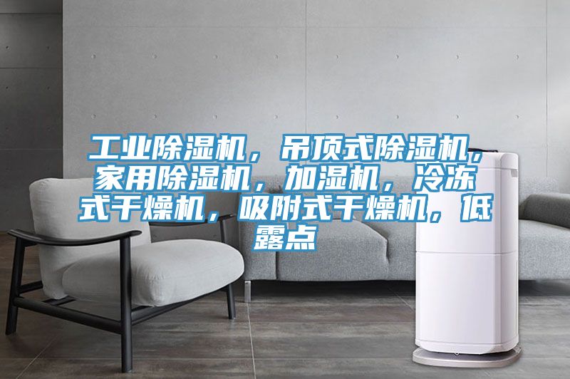 工業(yè)除濕機(jī)，吊頂式除濕機(jī)，家用除濕機(jī)，加濕機(jī)，冷凍式干燥機(jī)，吸附式干燥機(jī)，低露點(diǎn)