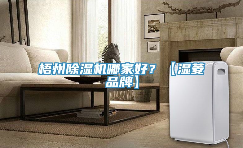 梧州除濕機(jī)哪家好？【濕菱品牌】