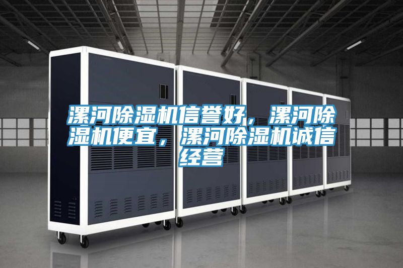 漯河除濕機(jī)信譽(yù)好，漯河除濕機(jī)便宜，漯河除濕機(jī)誠信經(jīng)營