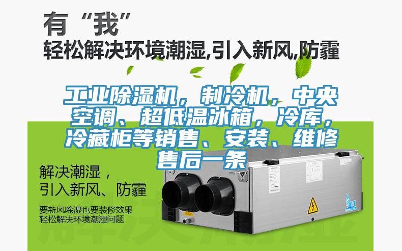 工業(yè)除濕機(jī)，制冷機(jī)，中央空調(diào)、超低溫冰箱，冷庫(kù)，冷藏柜等銷(xiāo)售、安裝、維修售后一條