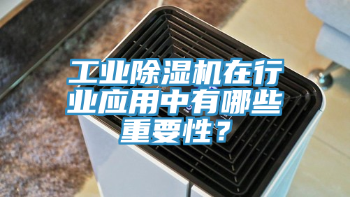工業(yè)除濕機在行業(yè)應用中有哪些重要性？