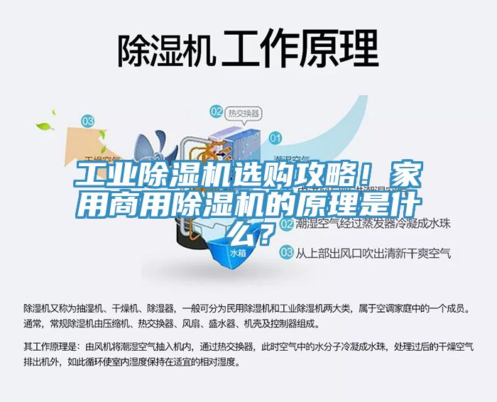 工業(yè)除濕機(jī)選購攻略！家用商用除濕機(jī)的原理是什么？
