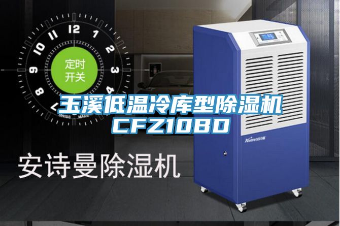 玉溪低溫冷庫(kù)型除濕機(jī)CFZ10BD