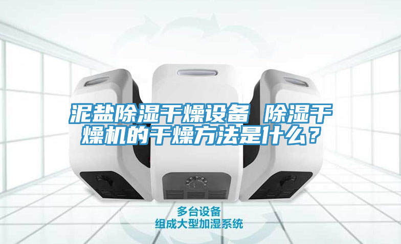 泥鹽除濕干燥設(shè)備 除濕干燥機(jī)的干燥方法是什么？