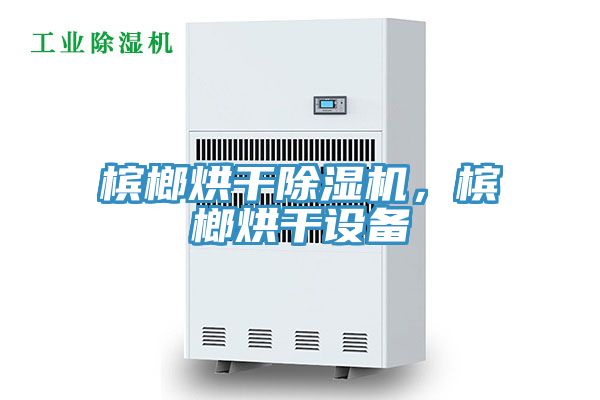 檳榔烘干除濕機(jī)，檳榔烘干設(shè)備