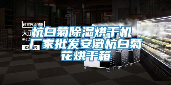 杭白菊除濕烘干機(jī) 廠(chǎng)家批發(fā)安徽杭白菊花烘干箱