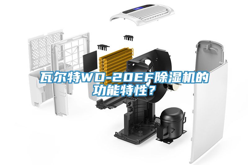 瓦爾特WD-20EF除濕機(jī)的功能特性？