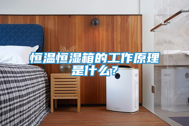 恒溫恒濕箱的工作原理是什么？