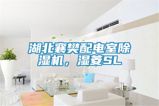 湖北襄樊配電室除濕機(jī)，濕菱SL