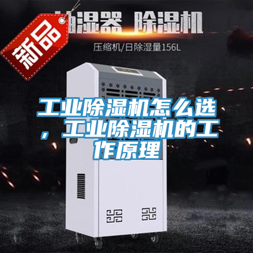 工業(yè)除濕機怎么選，工業(yè)除濕機的工作原理