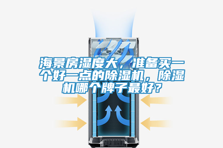 海景房濕度大，準(zhǔn)備買一個好一點的除濕機，除濕機哪個牌子最好？