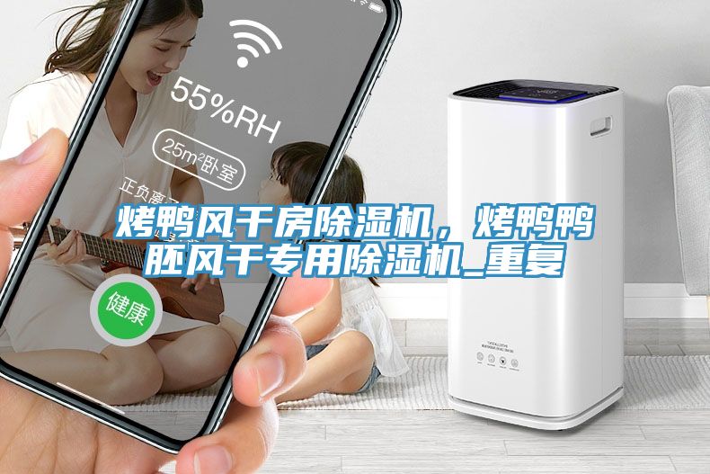 烤鴨風干房除濕機，烤鴨鴨胚風干專用除濕機_重復