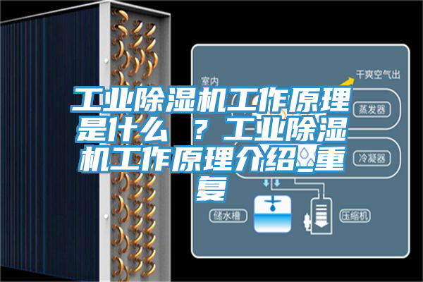 工業(yè)除濕機工作原理是什么 ？工業(yè)除濕機工作原理介紹_重復