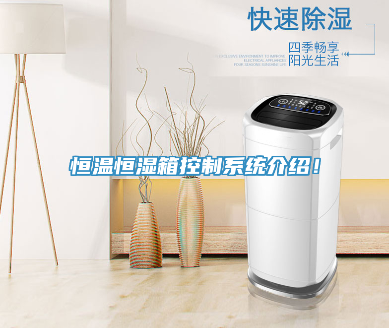 恒溫恒濕箱控制系統(tǒng)介紹！