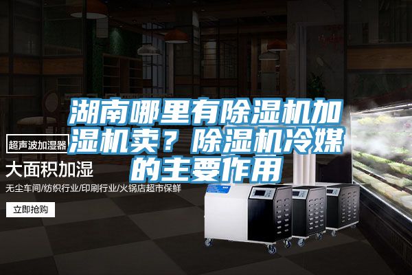 湖南哪里有除濕機(jī)加濕機(jī)賣？除濕機(jī)冷媒的主要作用