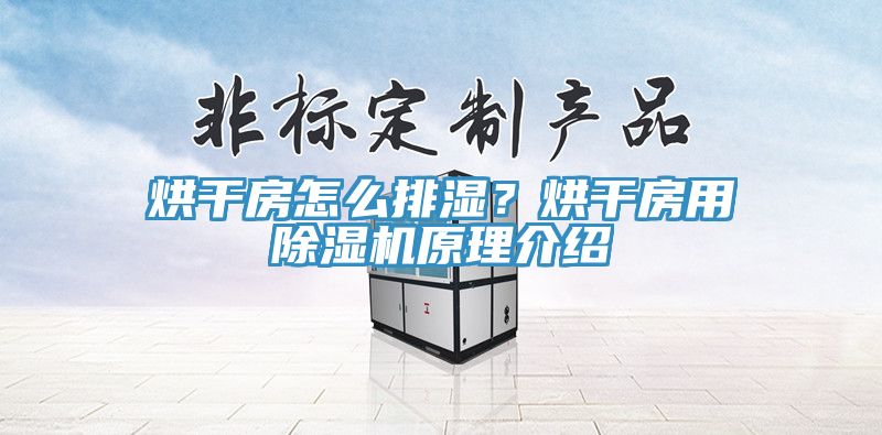 烘干房怎么排濕？烘干房用除濕機(jī)原理介紹