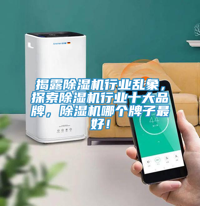 揭露除濕機(jī)行業(yè)亂象，探索除濕機(jī)行業(yè)十大品牌，除濕機(jī)哪個牌子最好！
