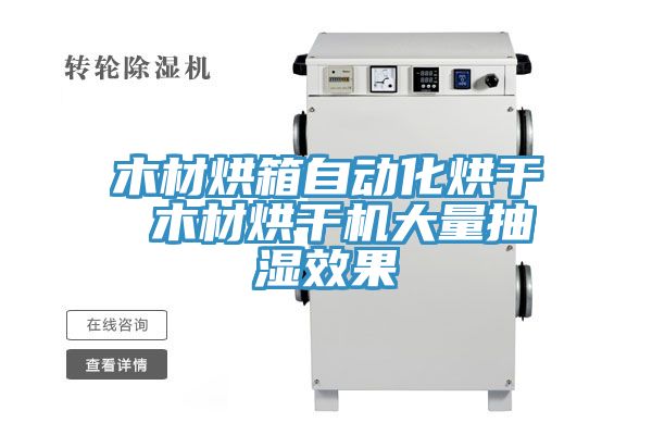 木材烘箱自動化烘干 木材烘干機(jī)大量抽濕效果