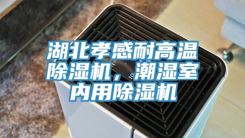 湖北孝感耐高溫除濕機(jī)，潮濕室內(nèi)用除濕機(jī)