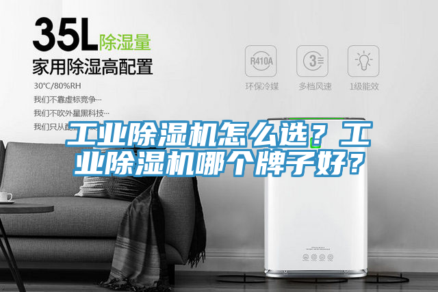 工業(yè)除濕機怎么選？工業(yè)除濕機哪個牌子好？
