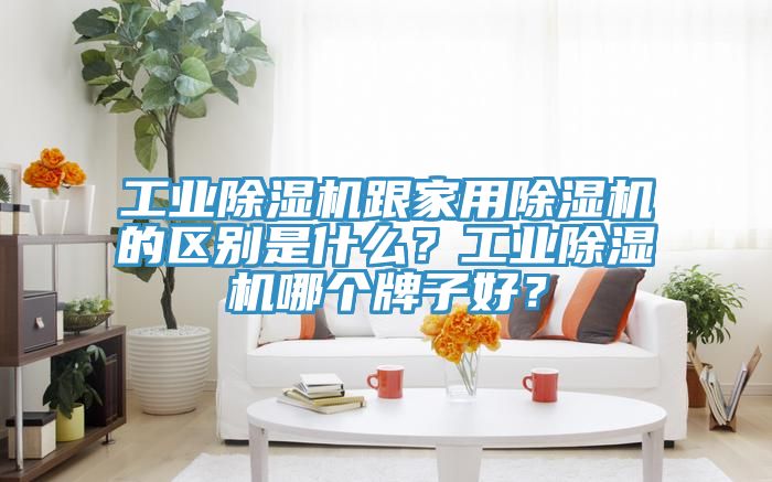 工業(yè)除濕機(jī)跟家用除濕機(jī)的區(qū)別是什么？工業(yè)除濕機(jī)哪個牌子好？