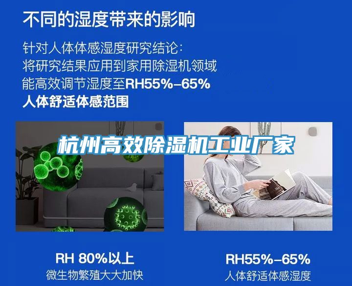 杭州高效除濕機(jī)工業(yè)廠(chǎng)家