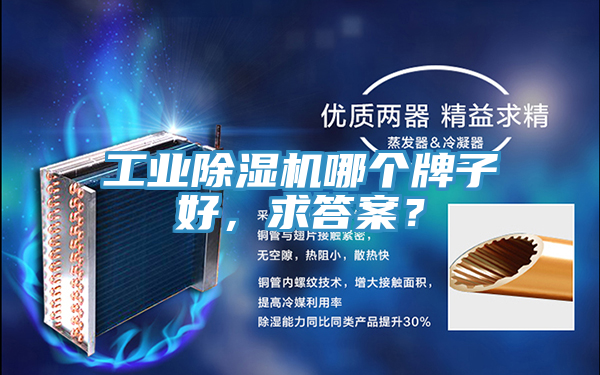 工業(yè)除濕機(jī)哪個牌子好，求答案？