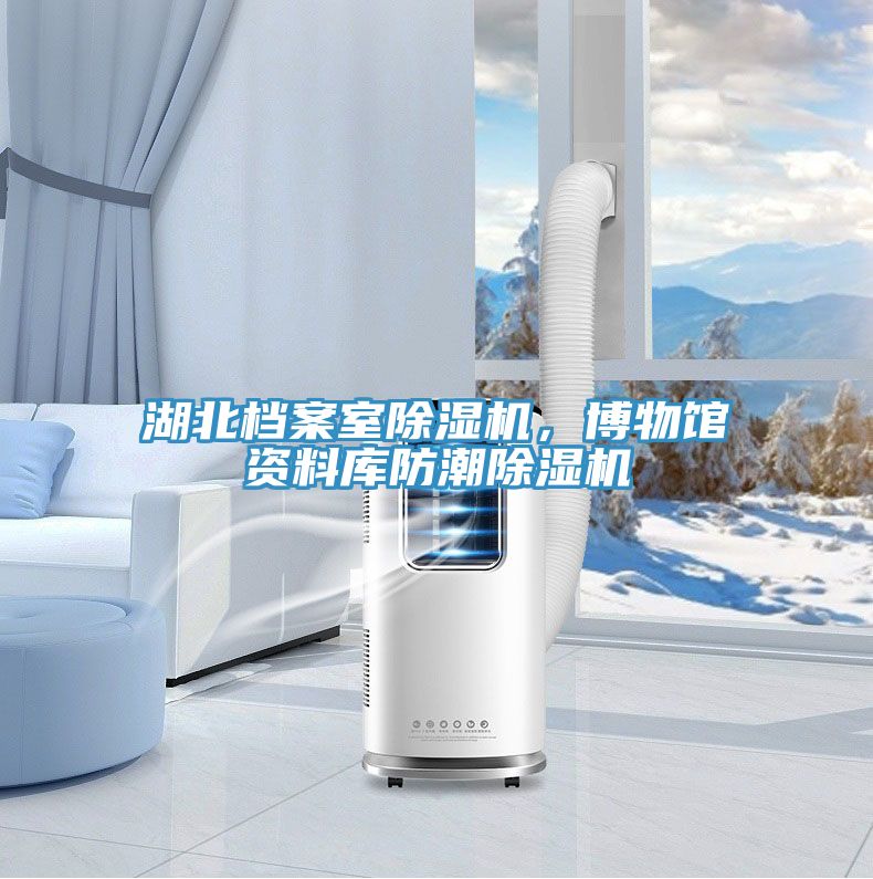 湖北檔案室除濕機(jī)，博物館資料庫(kù)防潮除濕機(jī)