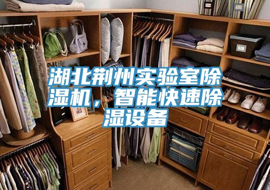 湖北荊州實(shí)驗(yàn)室除濕機(jī)，智能快速除濕設(shè)備