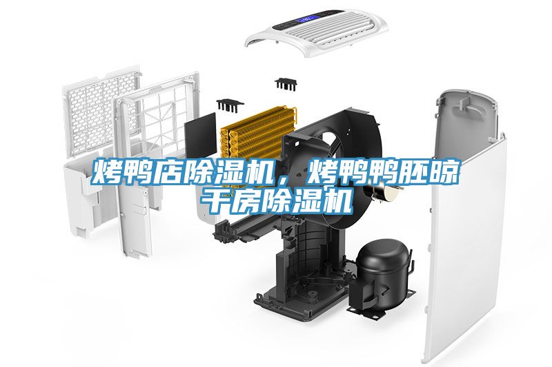 烤鴨店除濕機，烤鴨鴨胚晾干房除濕機
