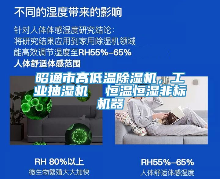 昭通市高低溫除濕機(jī)，工業(yè)抽濕機(jī)  恒溫恒濕非標(biāo)機(jī)器