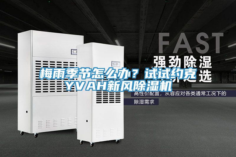 梅雨季節(jié)怎么辦？試試約克YVAH新風(fēng)除濕機(jī)