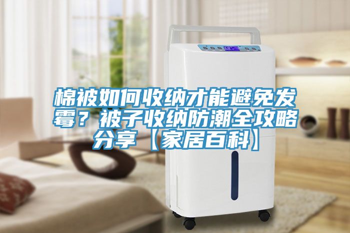 棉被如何收納才能避免發(fā)霉？被子收納防潮全攻略分享【家居百科】