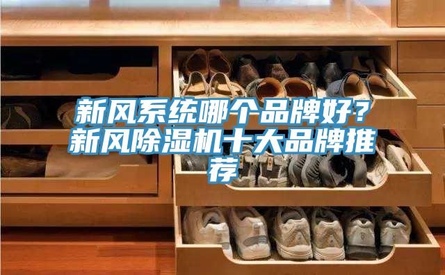 新風(fēng)系統(tǒng)哪個品牌好？新風(fēng)除濕機(jī)十大品牌推薦