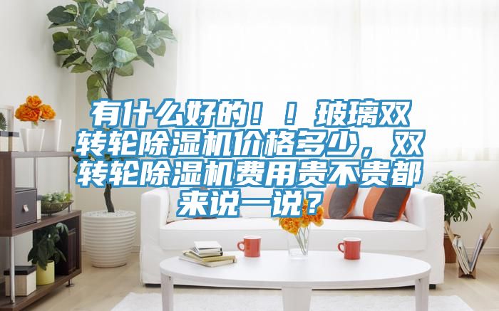 有什么好的?。〔Ａщp轉輪除濕機價格多少，雙轉輪除濕機費用貴不貴都來說一說？