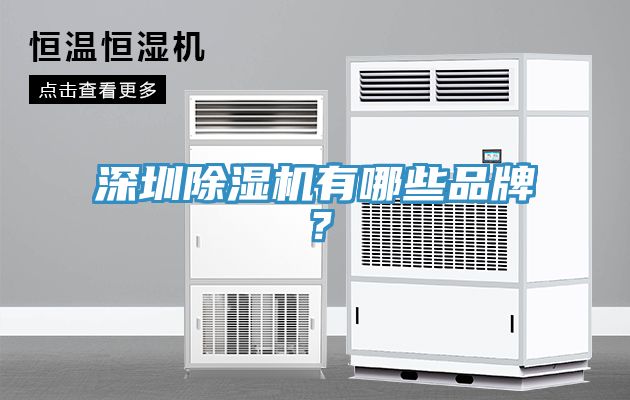 深圳除濕機有哪些品牌？