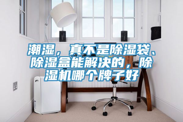 潮濕，真不是除濕袋、除濕盒能解決的，除濕機(jī)哪個(gè)牌子好