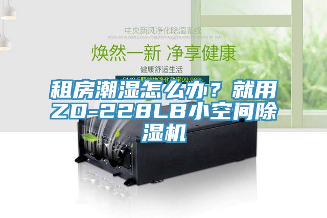租房潮濕怎么辦？就用ZD-228LB小空間除濕機(jī)