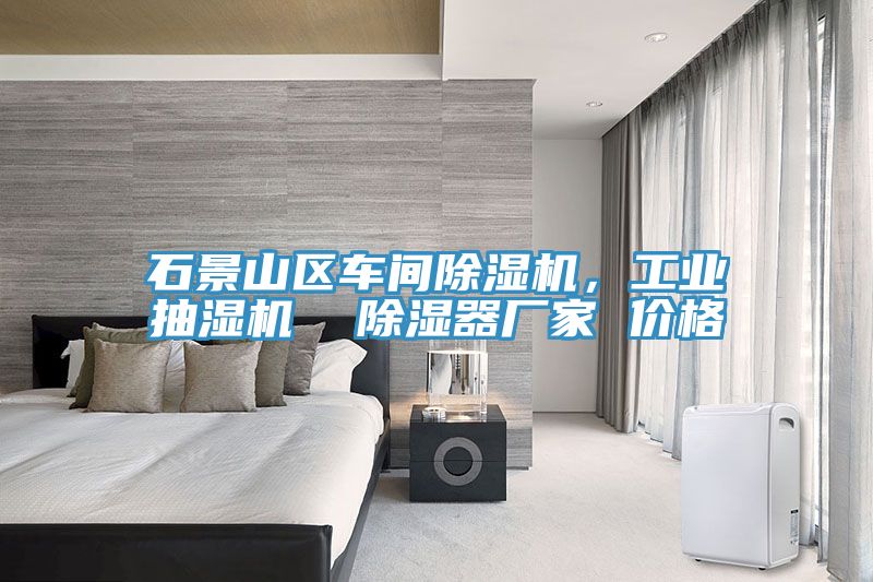 石景山區(qū)車間除濕機(jī)，工業(yè)抽濕機(jī)  除濕器廠家 價(jià)格