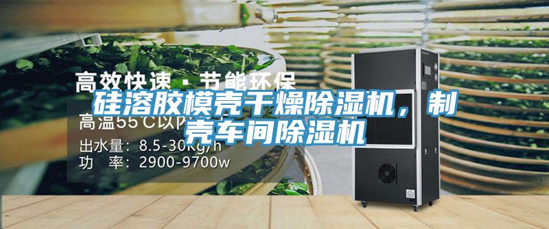 硅溶膠模殼干燥除濕機(jī)，制殼車間除濕機(jī)