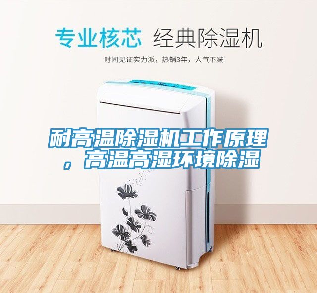 耐高溫除濕機(jī)工作原理，高溫高濕環(huán)境除濕
