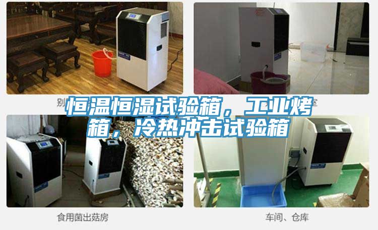 恒溫恒濕試驗箱，工業(yè)烤箱，冷熱沖擊試驗箱