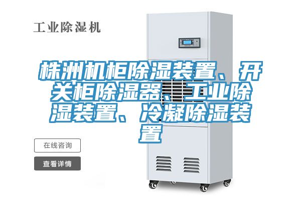 株洲機(jī)柜除濕裝置、開關(guān)柜除濕器、工業(yè)除濕裝置、冷凝除濕裝置