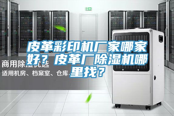 皮革彩印機廠家哪家好？皮革廠除濕機哪里找？