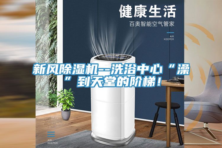 新風除濕機--洗浴中心“澡”到天堂的階梯！