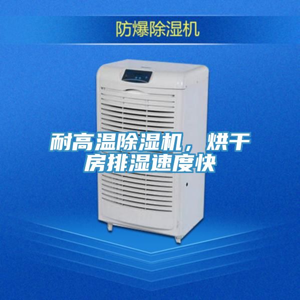 耐高溫除濕機(jī)，烘干房排濕速度快