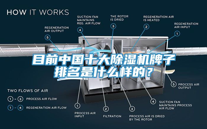 目前中國(guó)十大除濕機(jī)牌子排名是什么樣的？