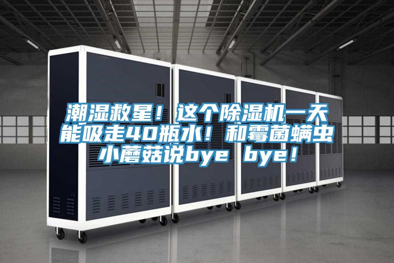 潮濕救星！這個除濕機一天能吸走40瓶水！和霉菌螨蟲小蘑菇說bye bye！