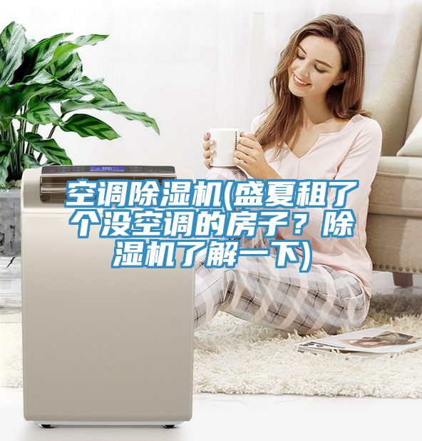 空調(diào)除濕機(盛夏租了個沒空調(diào)的房子？除濕機了解一下)